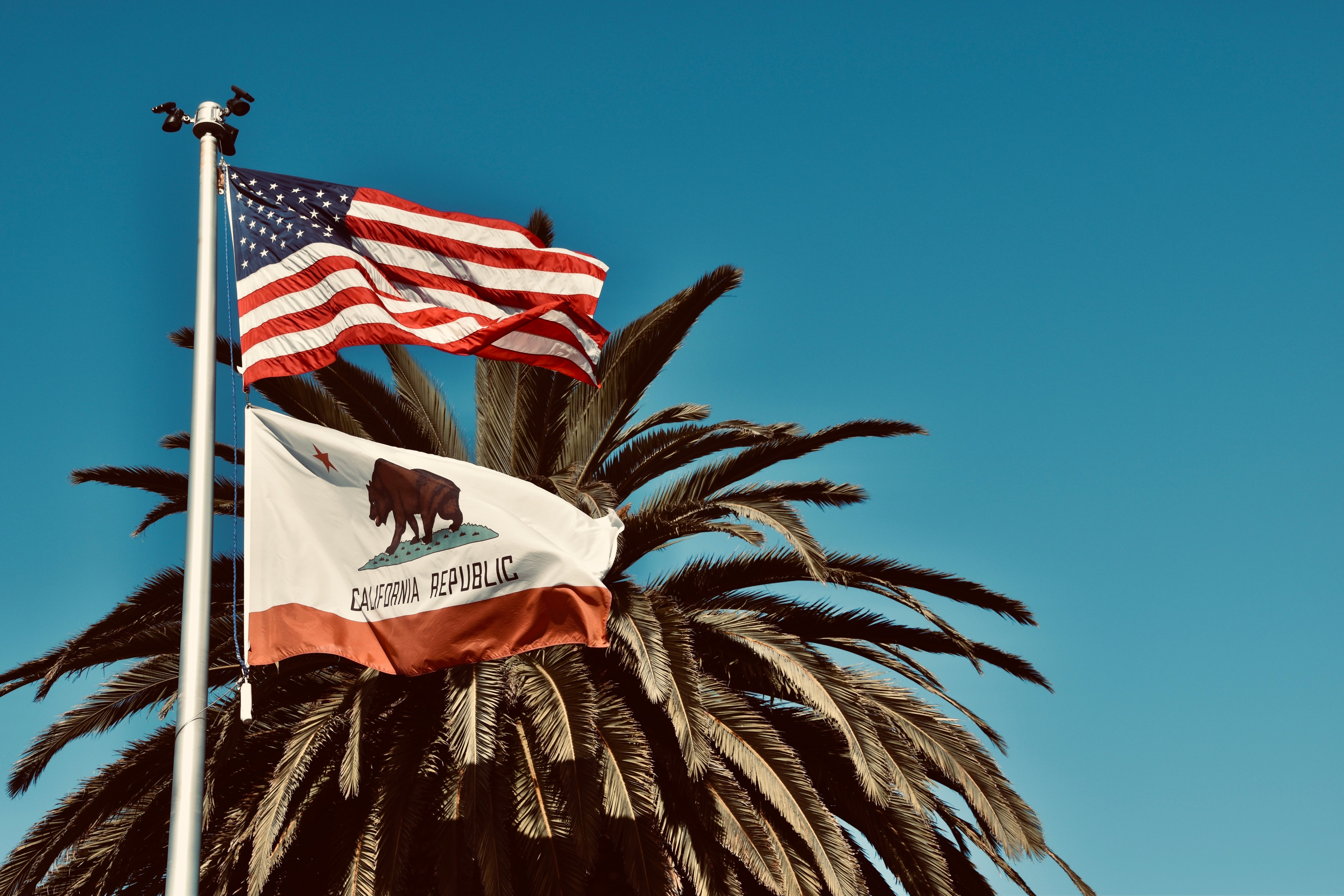 The Stars and Stripes and the California Republic flags blow on a pole in front of a palm tree with a clear blue sky in background.jpg